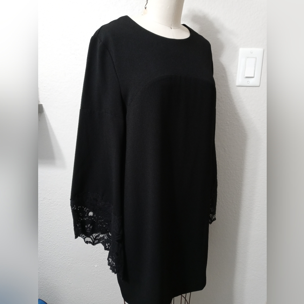 Beautiful Elegant Zara Black Dress